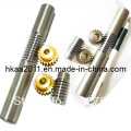 Precise Custom Stainless Steel/Brass Stepper Motor Worm Gear Shaft